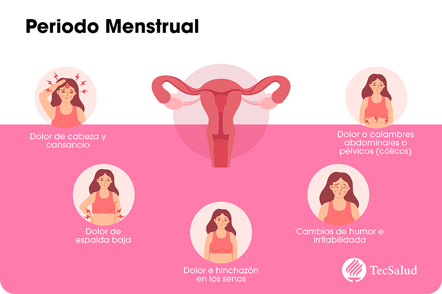 ¿cuánto Dura La Menstruación Síntomas Y Cuidadosemk 2044