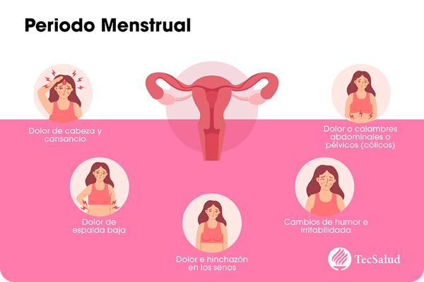 periodo-menstrual