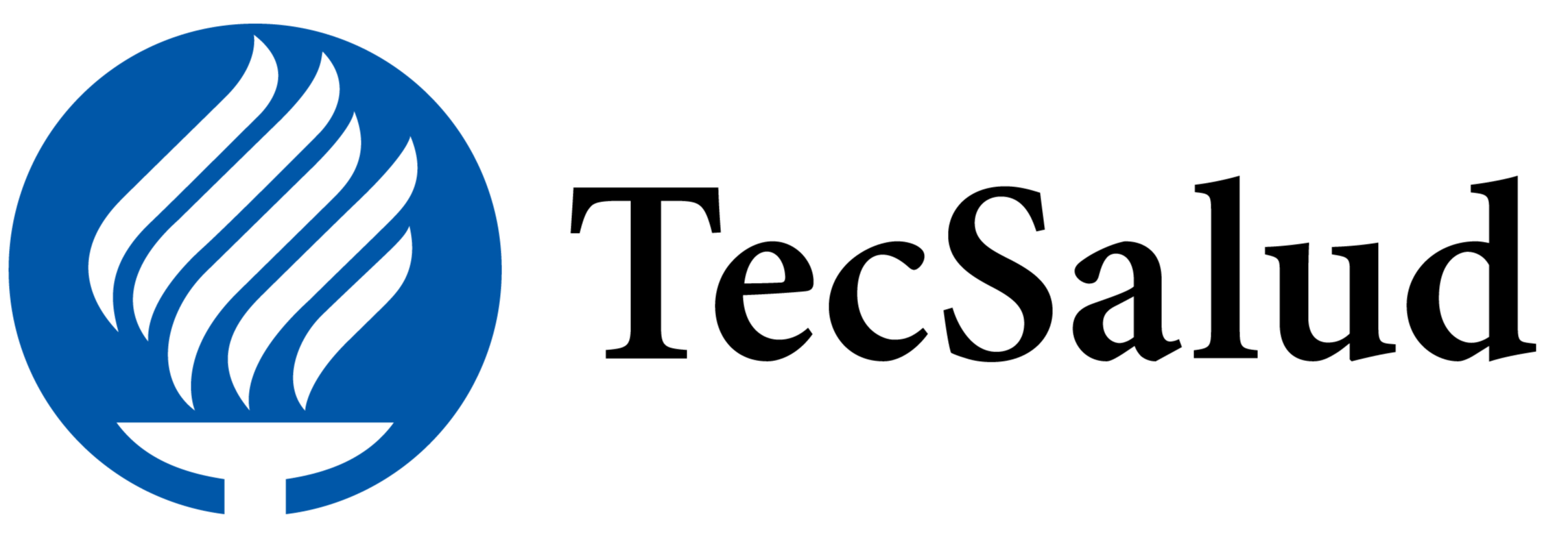 Tecsalud Logo